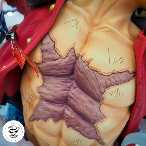 One piece luffy (10)